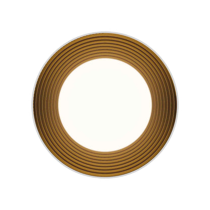 Gaston LED Flush Mount Ceiling Light in Detail.