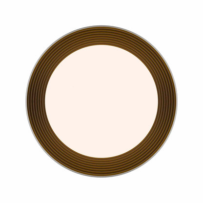 Gaston LED Flush Mount Ceiling Light in Detail.