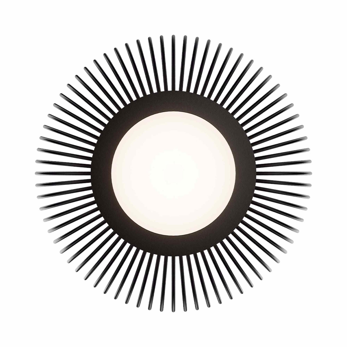 Poppin Outdoor LED Pendant Light in Detail.