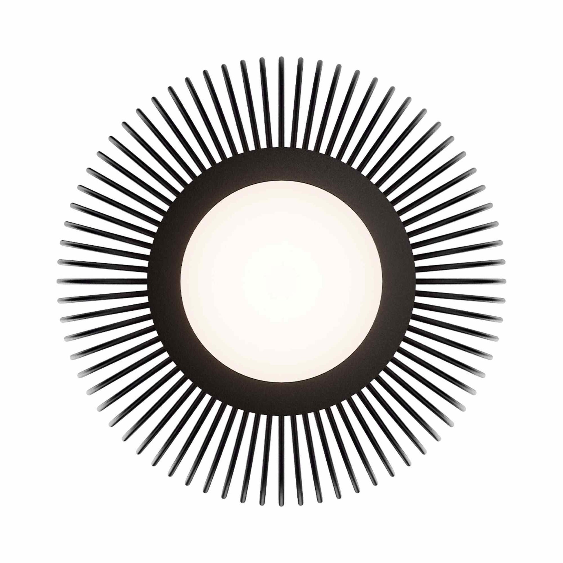 Poppin Outdoor LED Pendant Light in Detail.