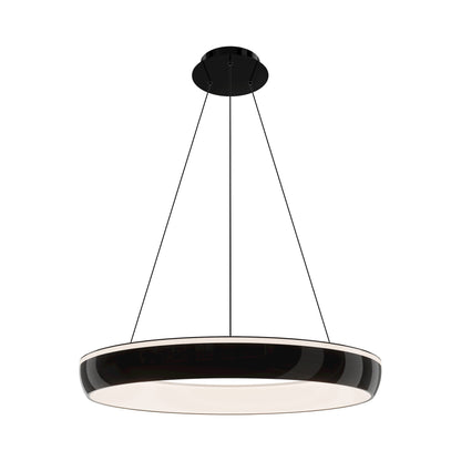 Ringwall LED Pendant Light in Detail.