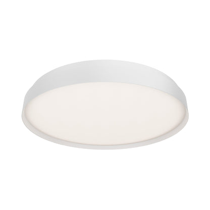 Rinsglsey LED Flush Mount Ceiling Light in Detail.