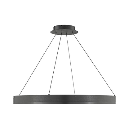 Rounder LED Pendant Light.