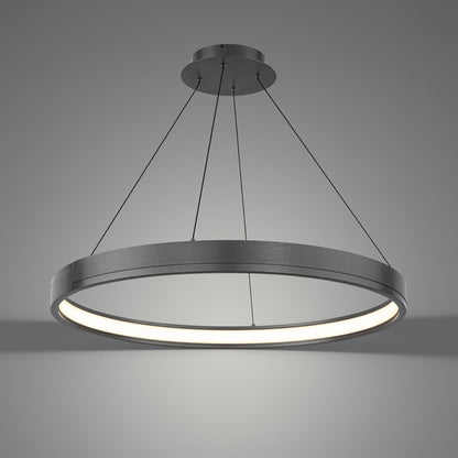 Rounder LED Pendant Light in Detail.