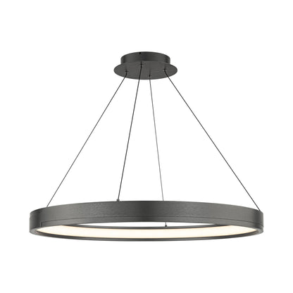 Rounder LED Pendant Light in Detail.
