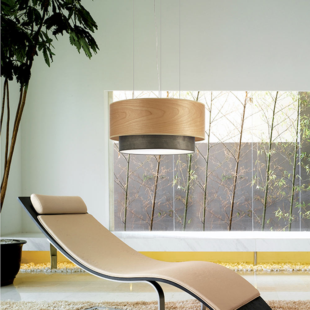 Aros Double Pendant Light in living room.