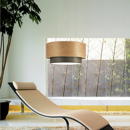 Aros Double Pendant Light in living room.