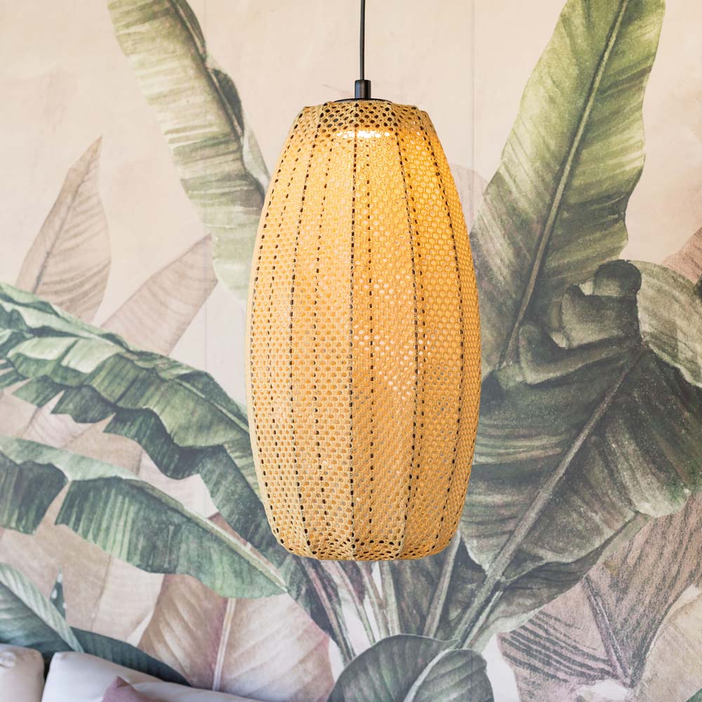 Cala Outdoor LED Pendant Light in Detail.