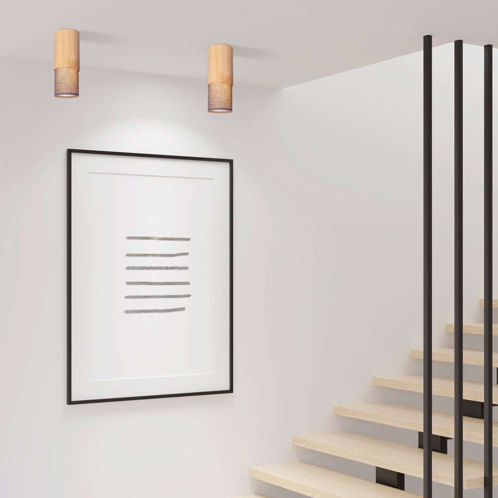 Fokus Flush Mount Ceiling Light in living room