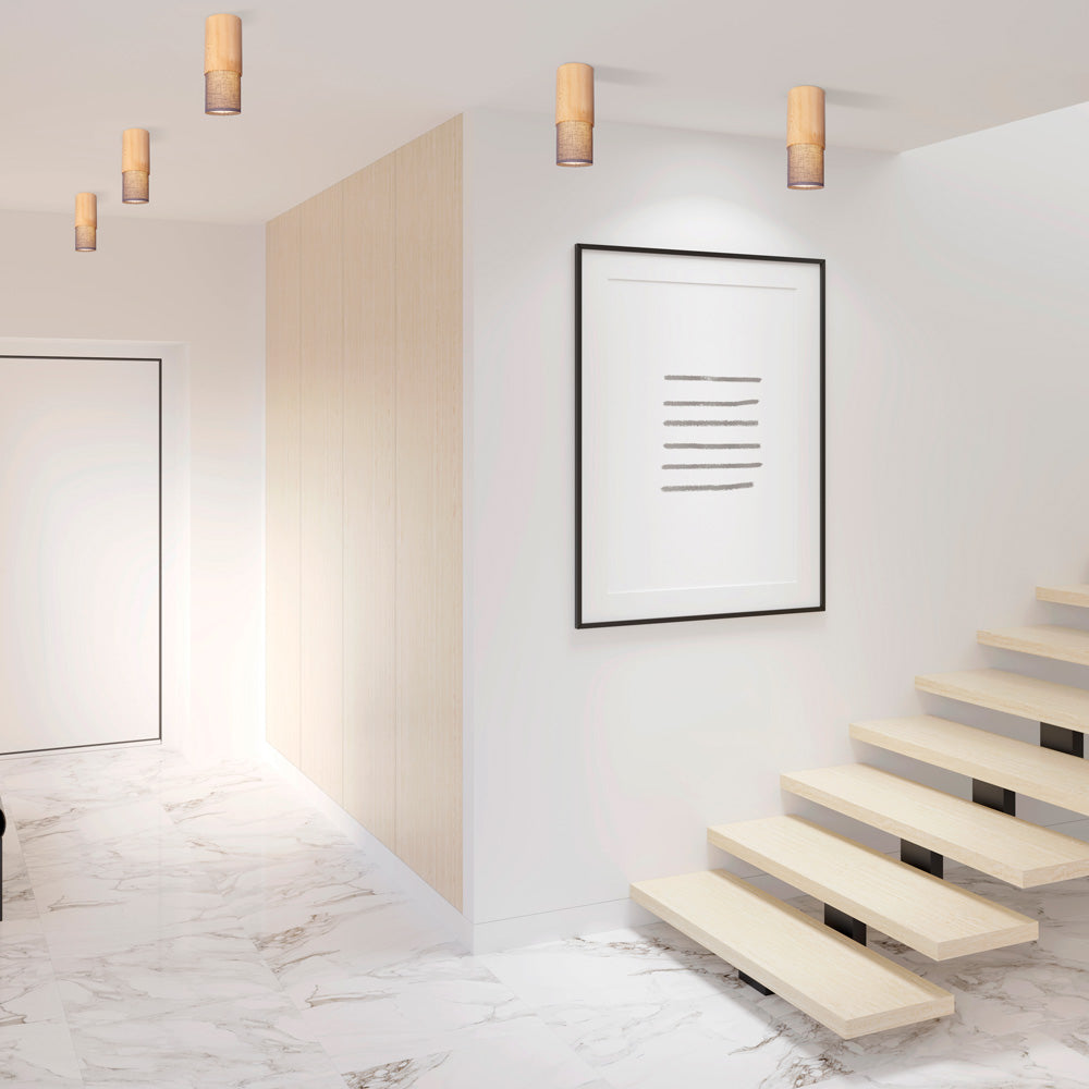 Fokus Flush Mount Ceiling Light in living room