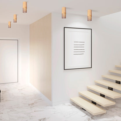 Fokus Flush Mount Ceiling Light in living room