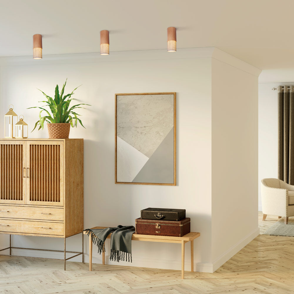 Fokus Flush Mount Ceiling Light in living room
