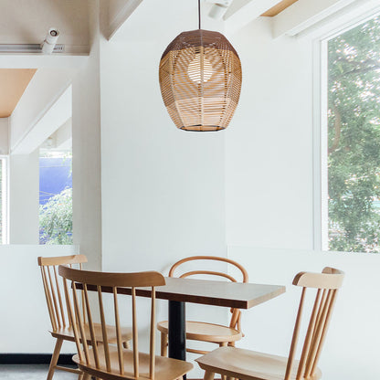 Meisy Pendant Light in living room.