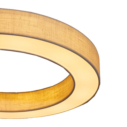 Ring LED Pendant Light in Detail.