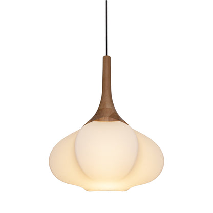 Swell Pendant Light in Detail.