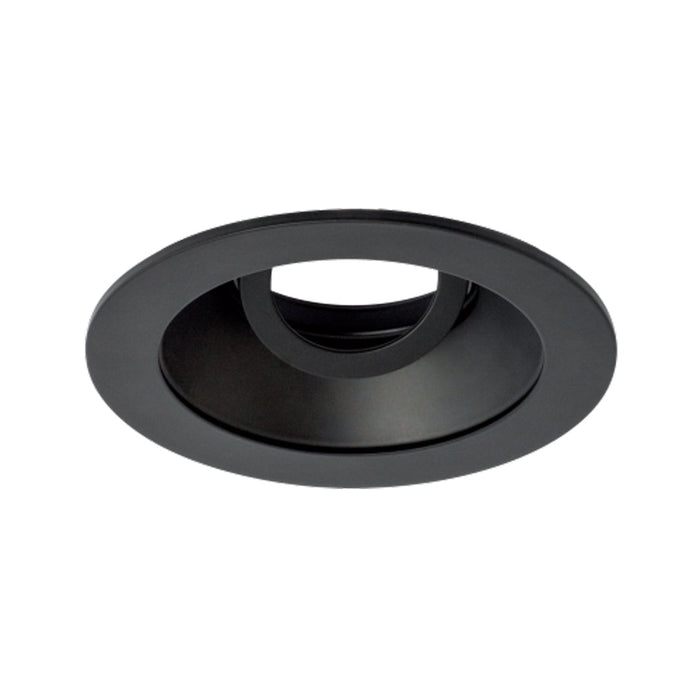 Pex™ 4" Round Adjustable Reflector in Black (Clear Glass Lens).