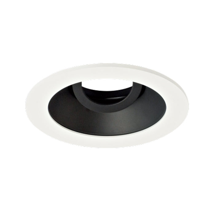 Pex™ 4" Round Adjustable Reflector in Black with White Trim (Clear Glass Lens).
