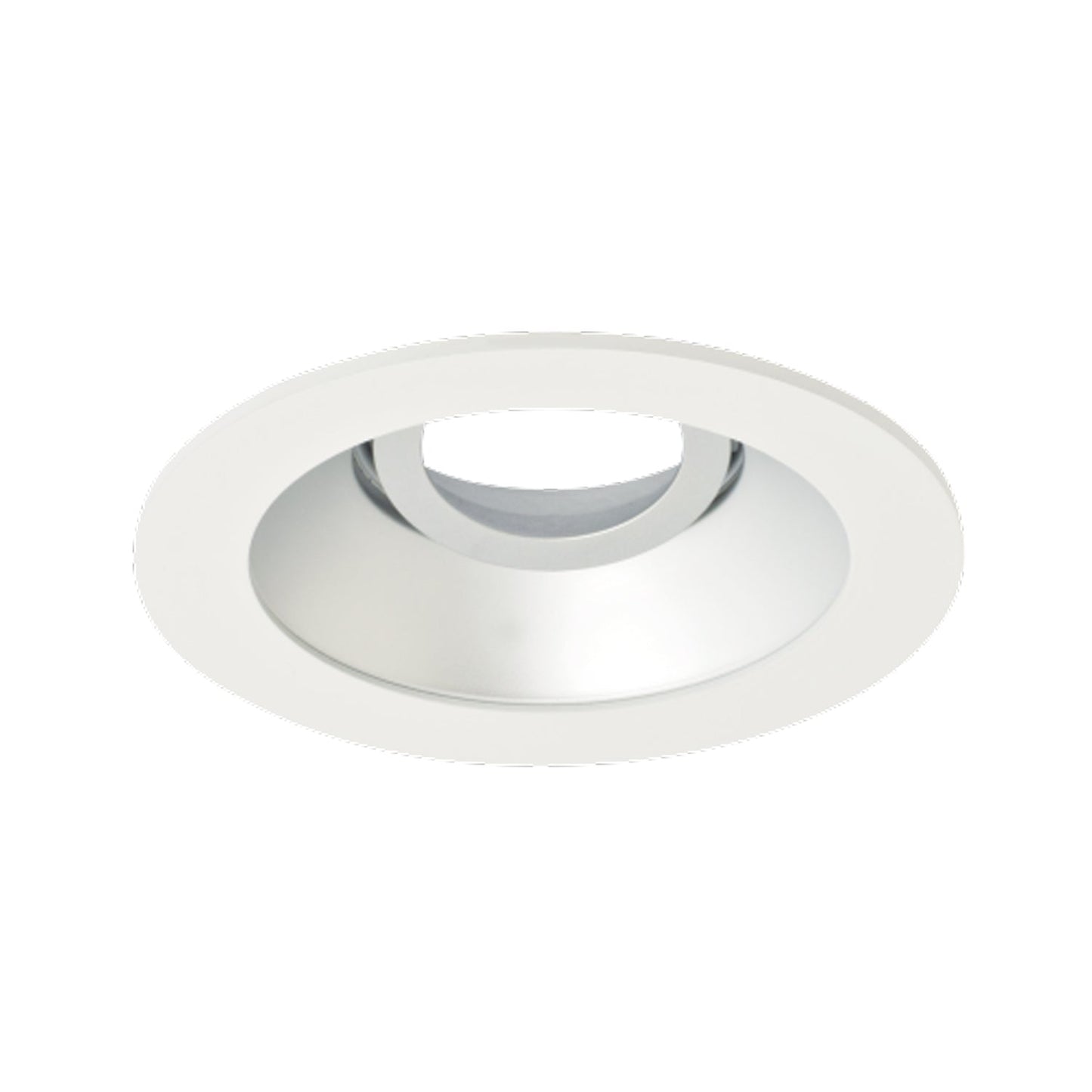 Pex™ 4" Round Adjustable Reflector in Haze with White Trim (Clear Glass Lens).