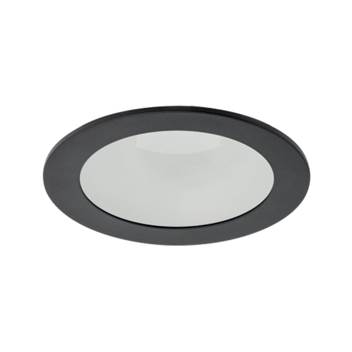 Pex™ 4" Round Adjustable Reflector in Black (Frosted Lens).