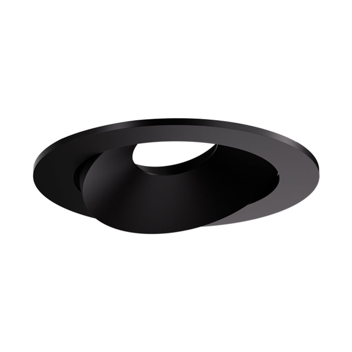 Pex™ 4" Round Directional Gimbal in Black.