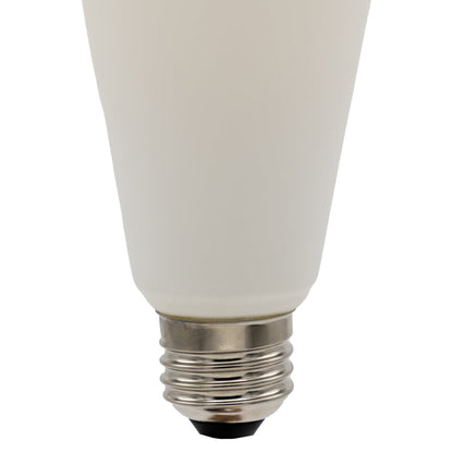 Emeryallen S19 Bistro Light 120V LED Bulb in Detail.
