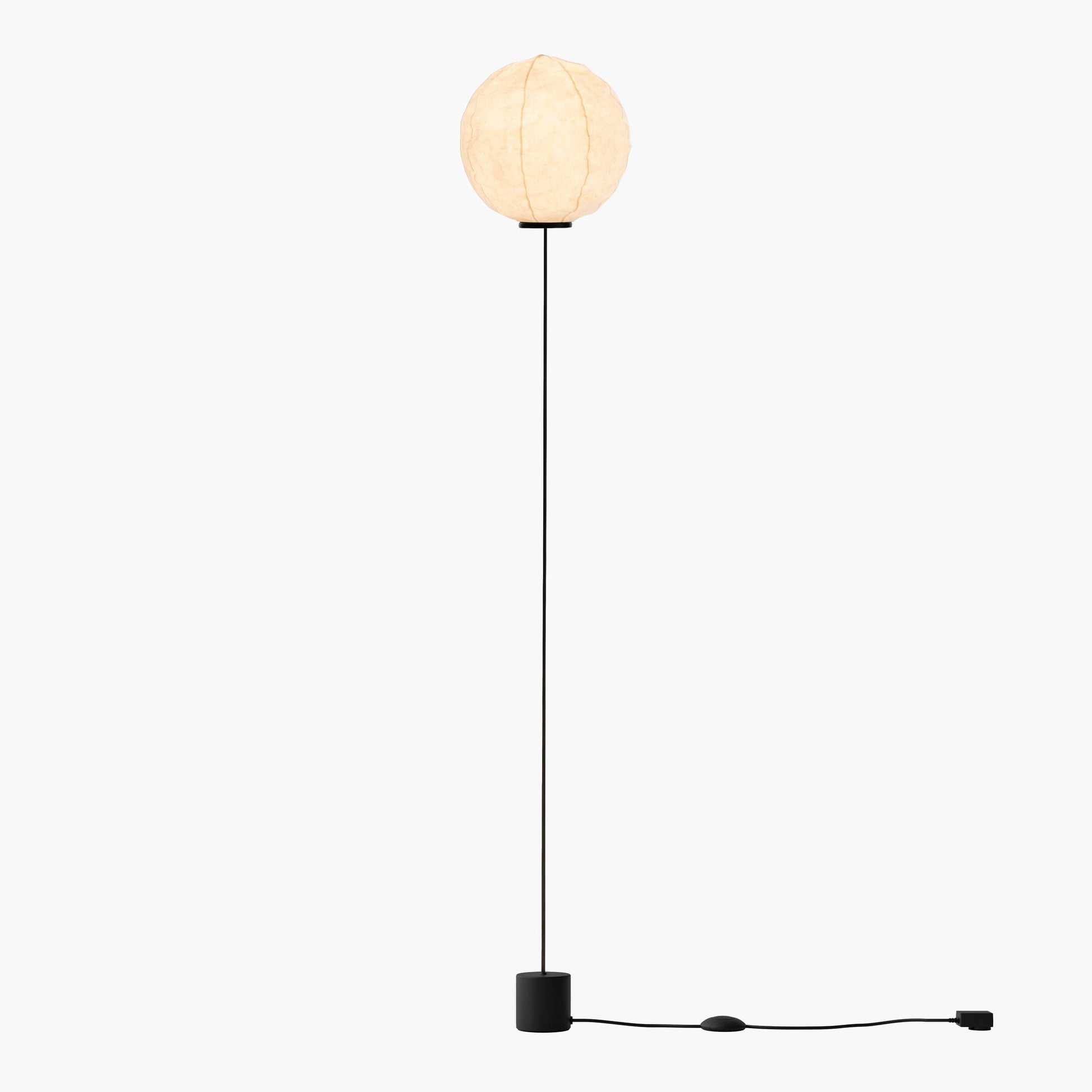 Cho LED Floor Lamp in Detail.