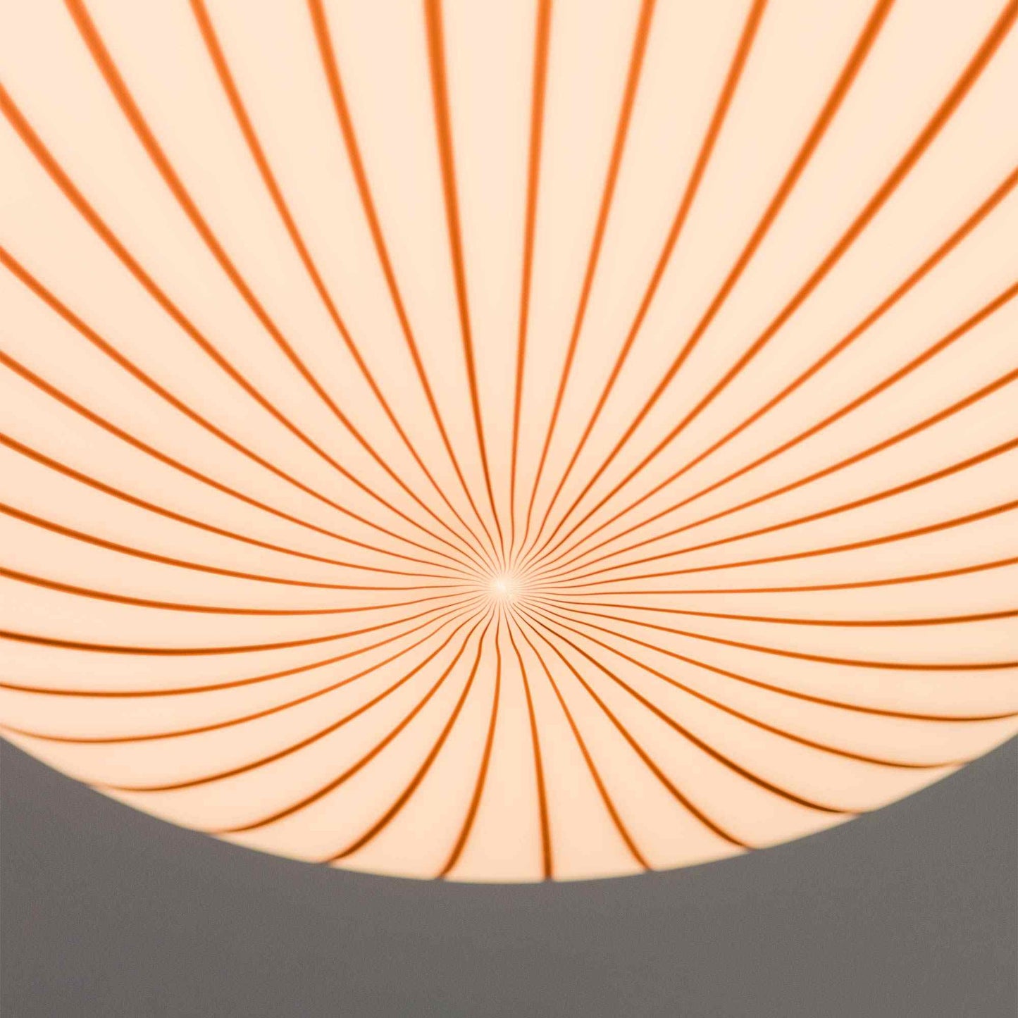 Filigrana Ellipse Pendant Light in Detail.