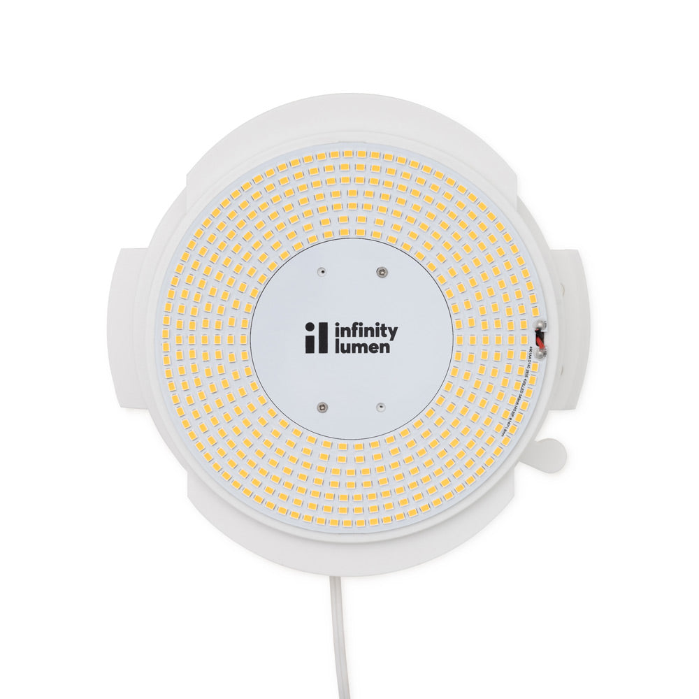 Filigrana LED Ceiling / Wall Light in Detail.