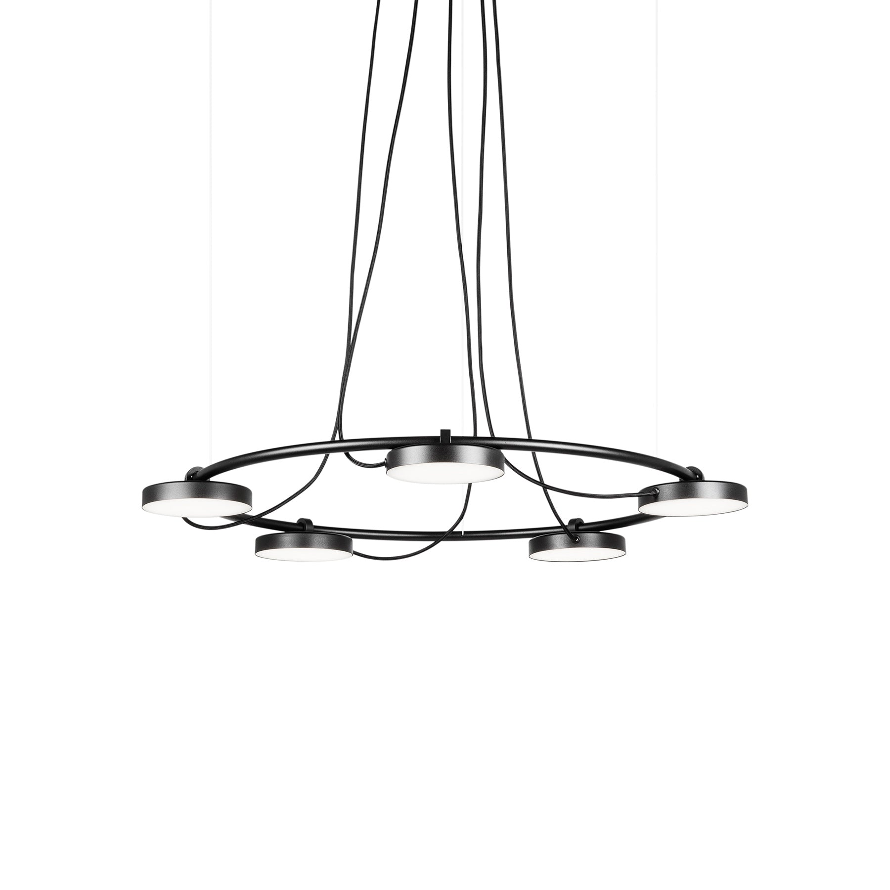 Aro LED Pendant Light.