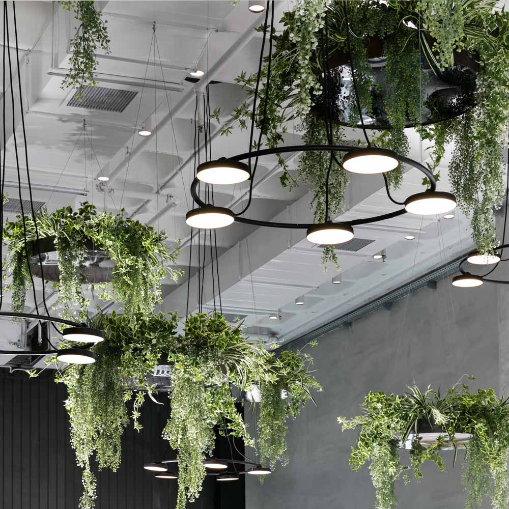 Aro LED Pendant Light in Detail.