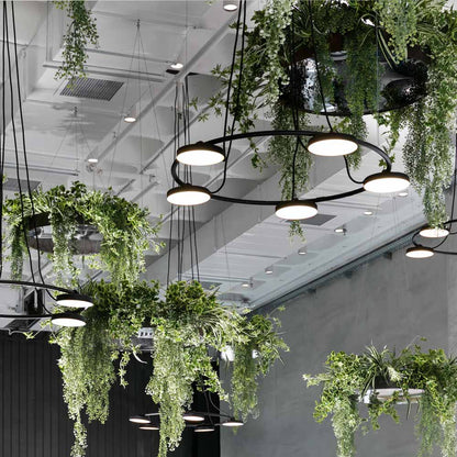 Aro LED Pendant Light in Detail.