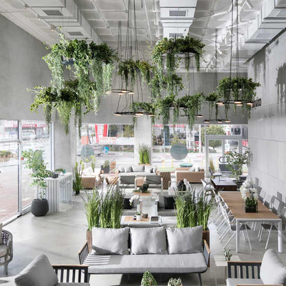 Aro LED Pendant Light in coffee shop.