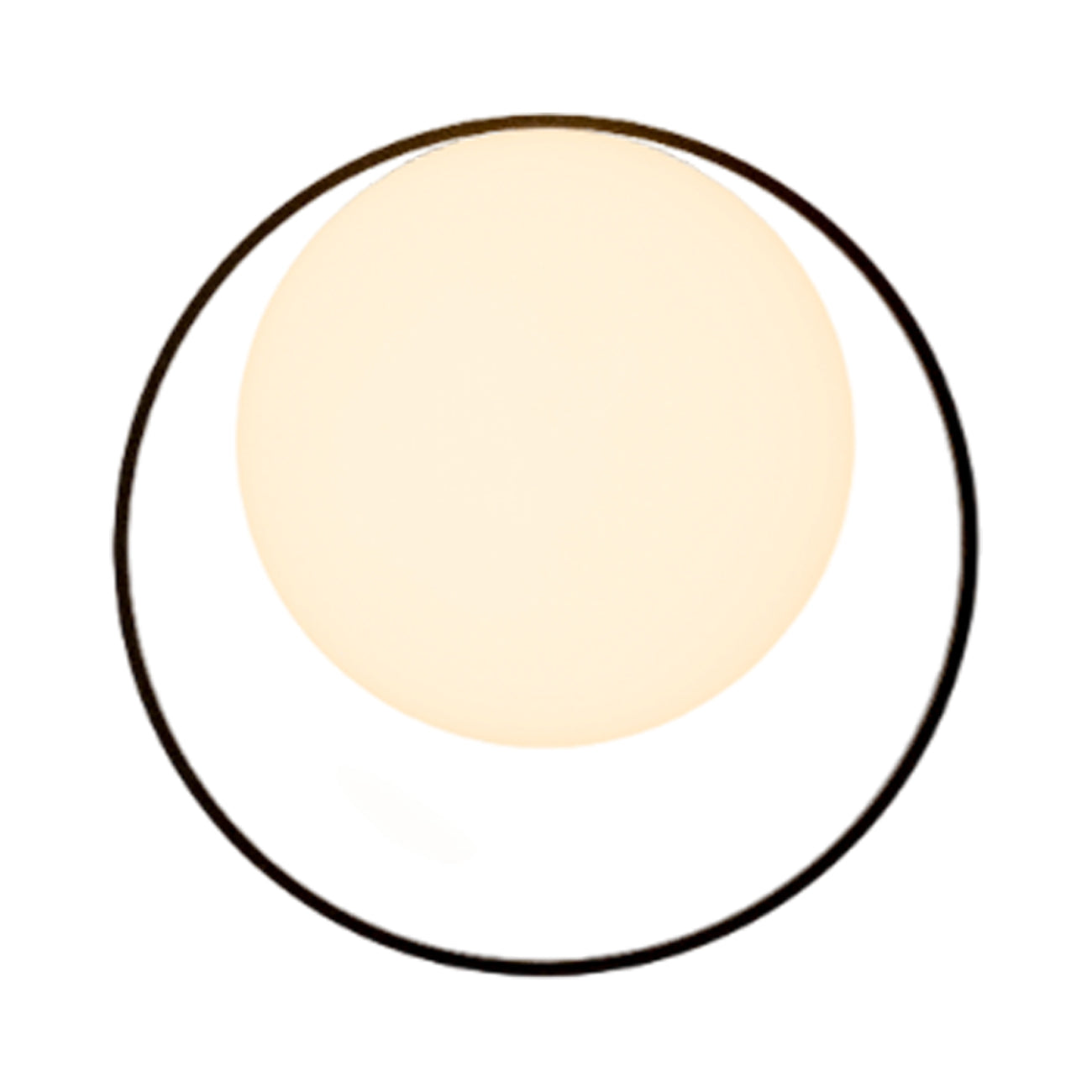 Circ 3722 LED Wall Light in Black.