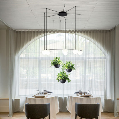 Circ LED Pendant Light in restaurant.