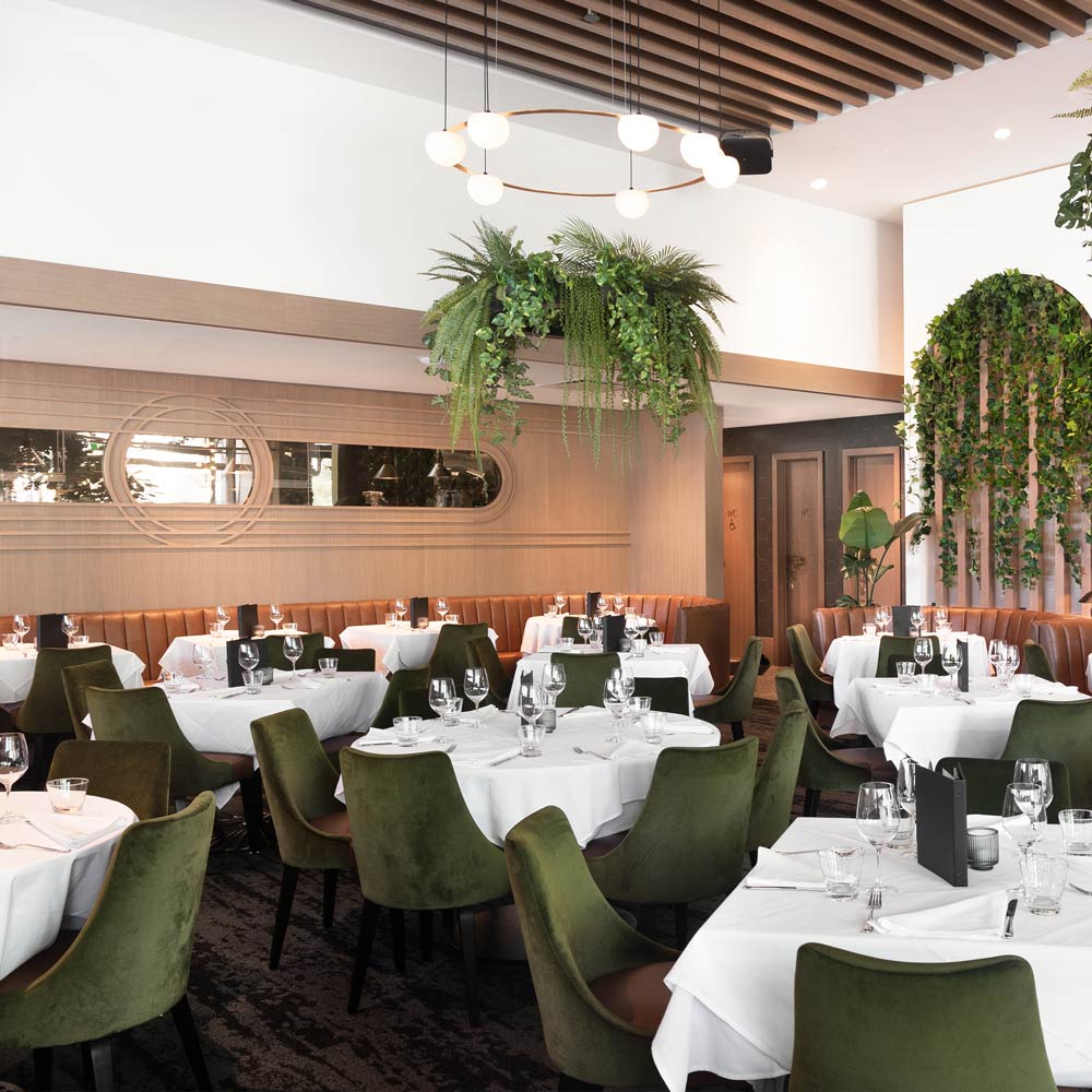 Circ LED Pendant Light in restaurant.