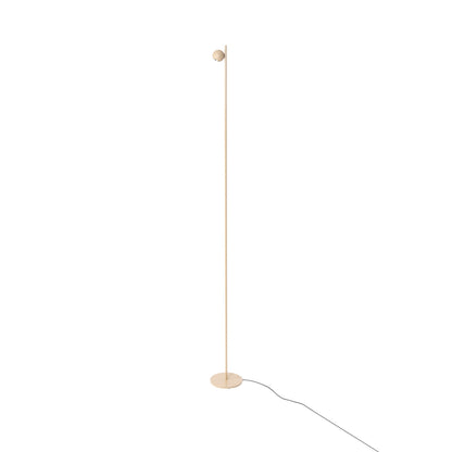 Compass Floor Lamp.
