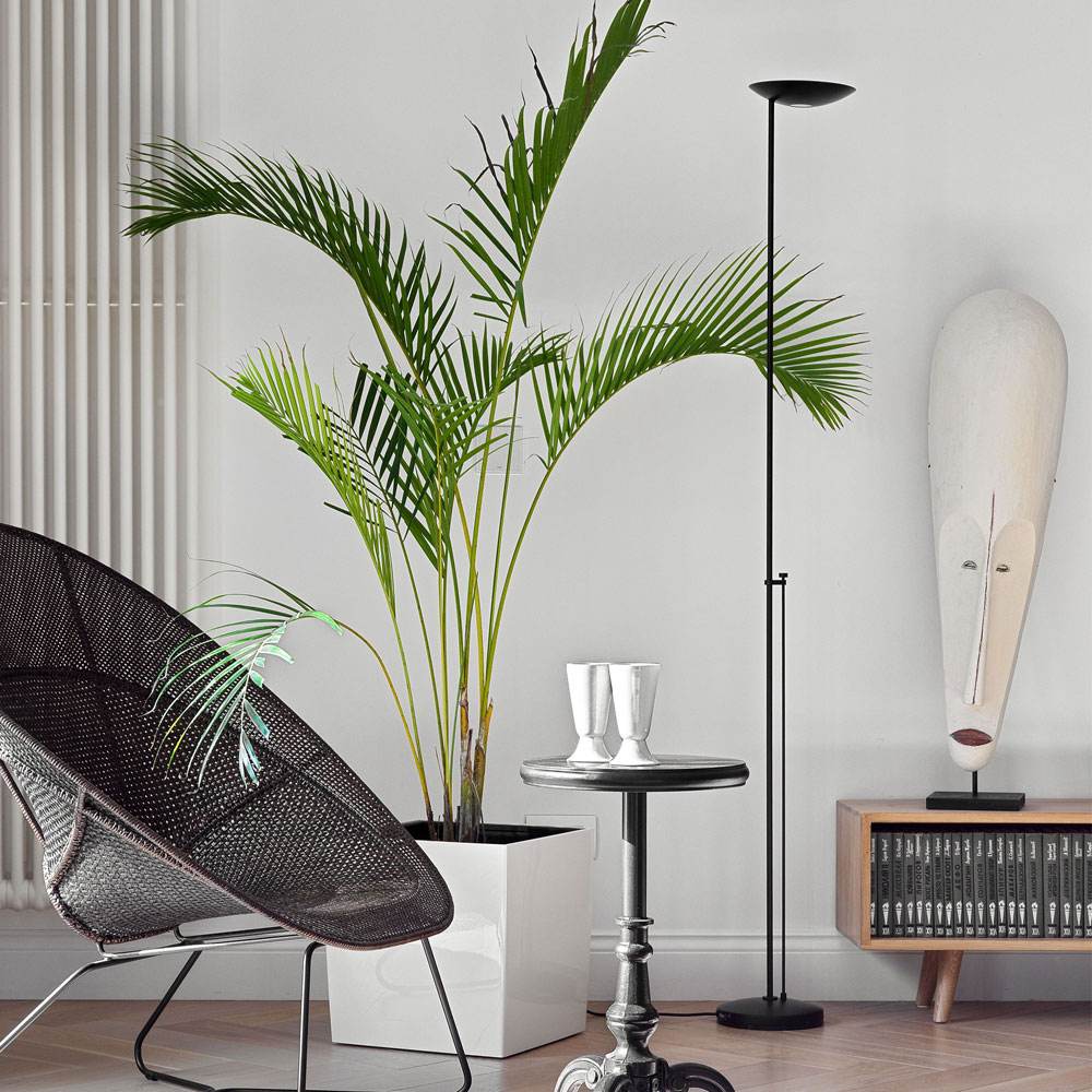 Icons Floor Lamp in living room.