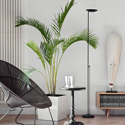 Icons Floor Lamp in living room.