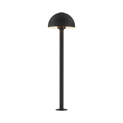 Alumilux Dome Outdoor LED Path Light (29-Inch).