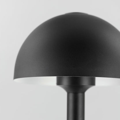 Alumilux Dome Outdoor LED Path Light in Detail.