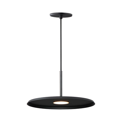 Berliner LED Pendant Light in Black (13.75-Inch).