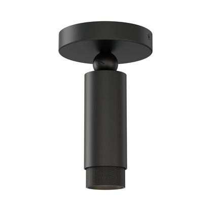 Cleo LED Flush Mount Ceiling Light in Black.