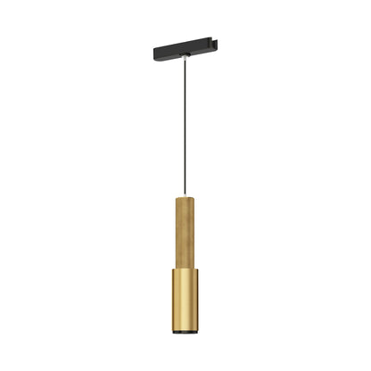 Continuum Track Handler LED Pendant Light in Natural Aged Brass.
