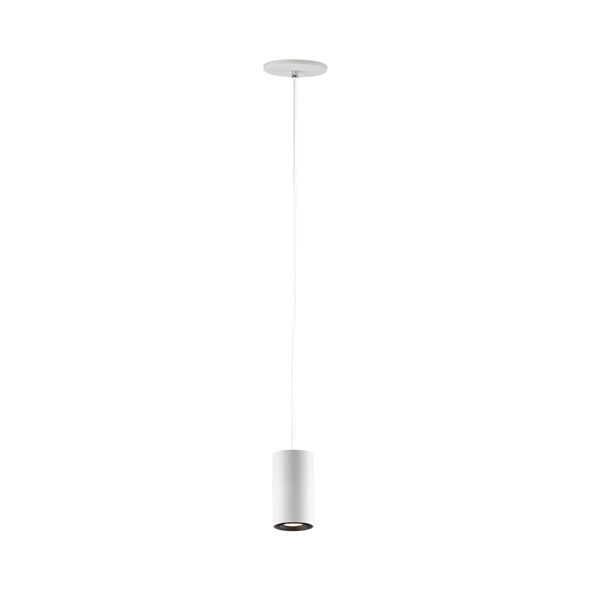 Dwell Pendant Light.