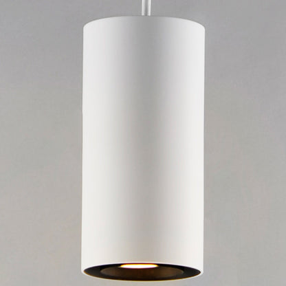 Dwell Pendant Light in Detail.