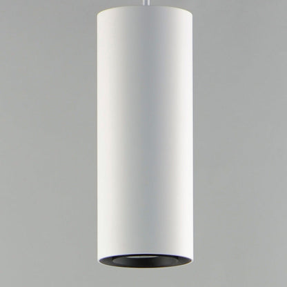 Dwell Pendant Light in Detail.