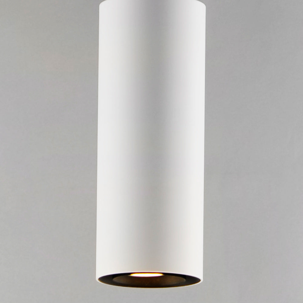 Dwell Pendant Light in Detail.