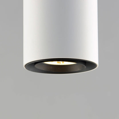 Dwell Pendant Light in Detail.