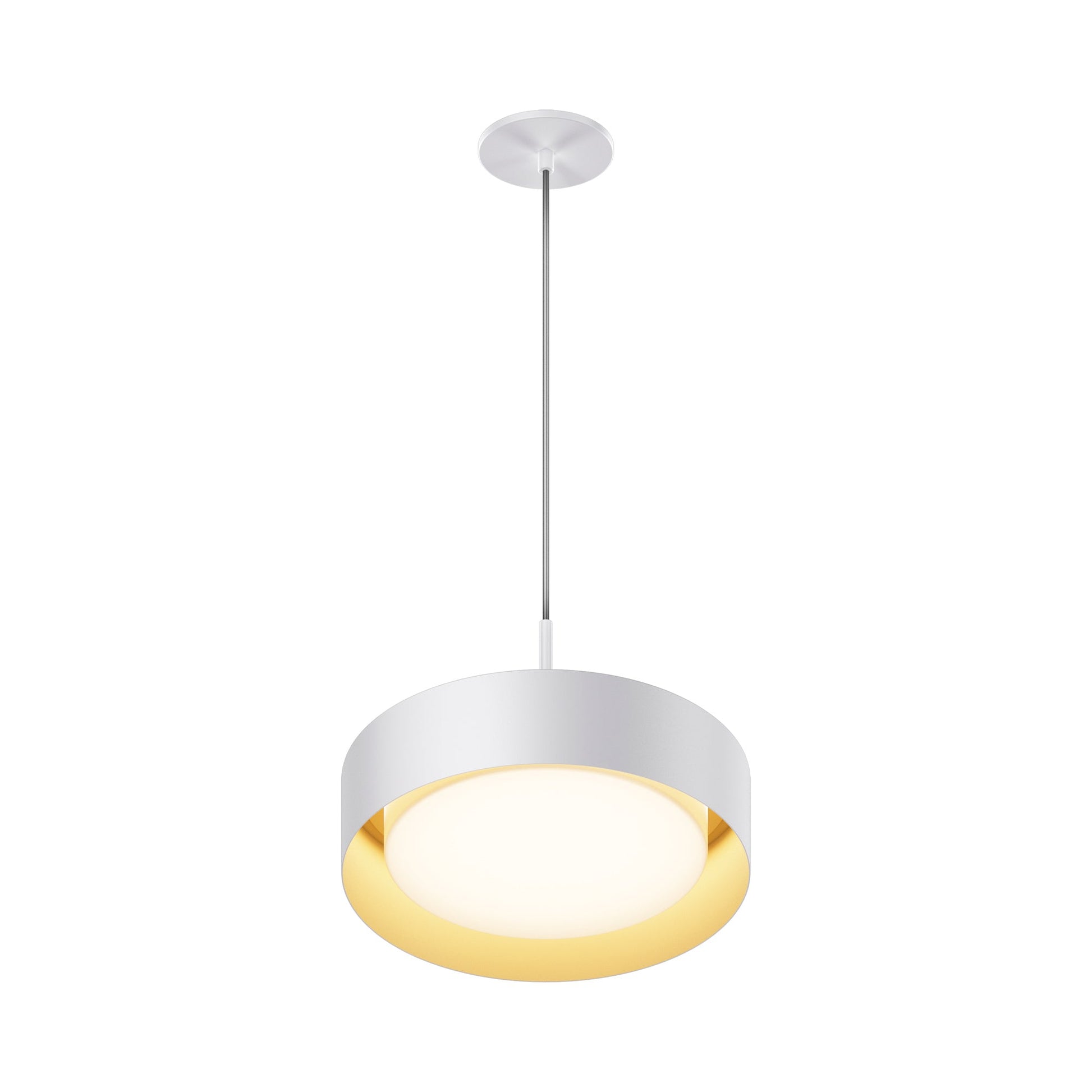 Echo LED Pendant Light.