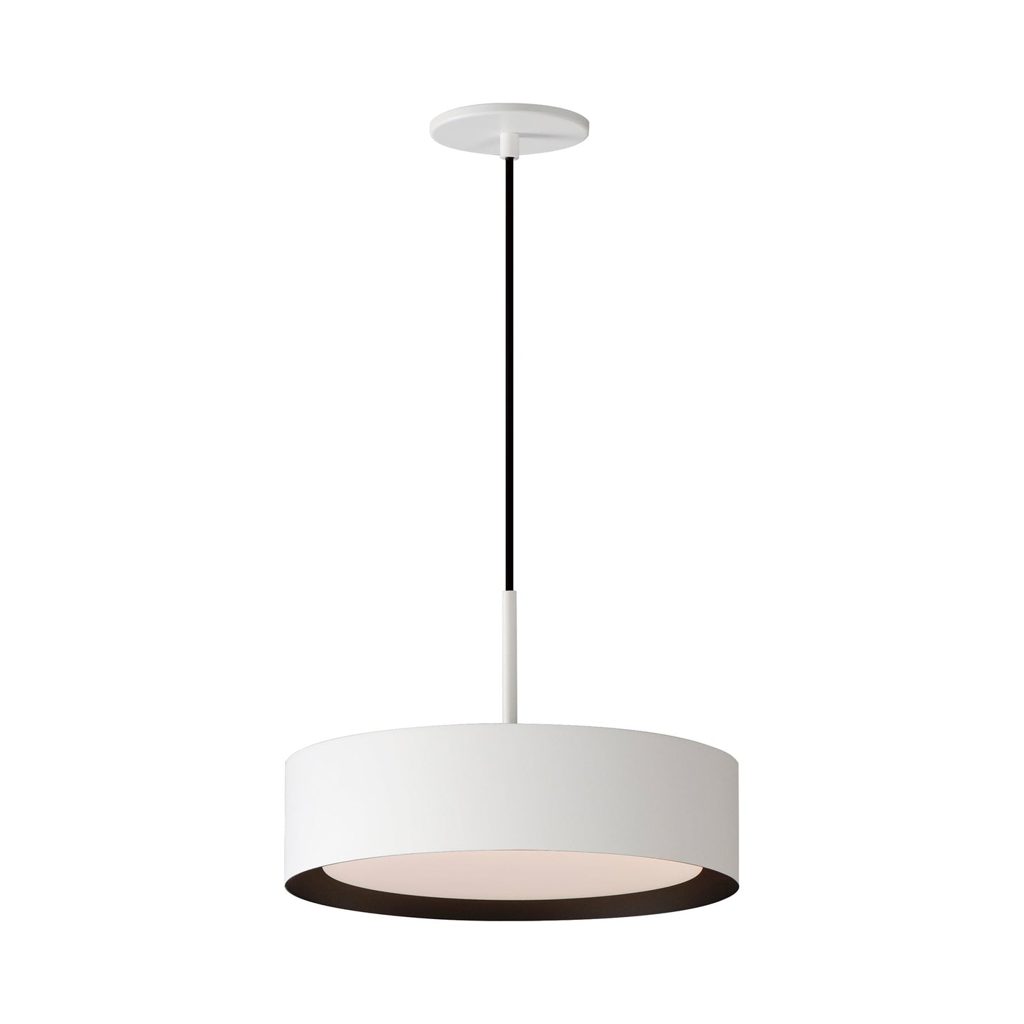 Echo LED Pendant Light in White/Black (13-Inch).